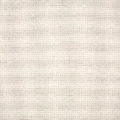 Sunbrella Nurture White fabric swatch (42102-0001)