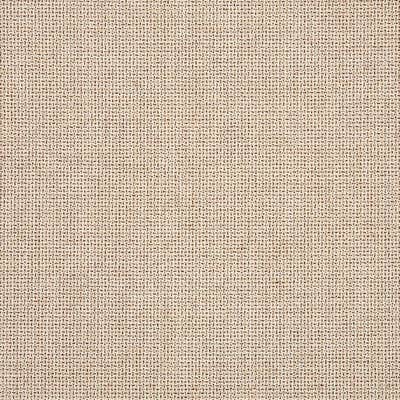 Sunbrella Bliss Sand fabric swatch (48135-0002)