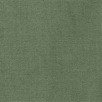Sunbrella Bliss Aloe fabric swatch (48135-0017)