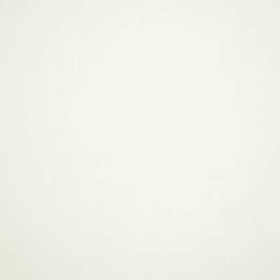 Sunbrella Canvas White fabric swatch (57003-0000)