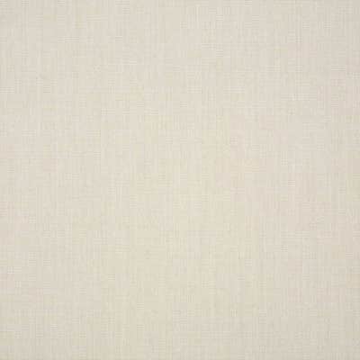 Sunbrella Canvas Cloud fabric swatch (57012-0000)